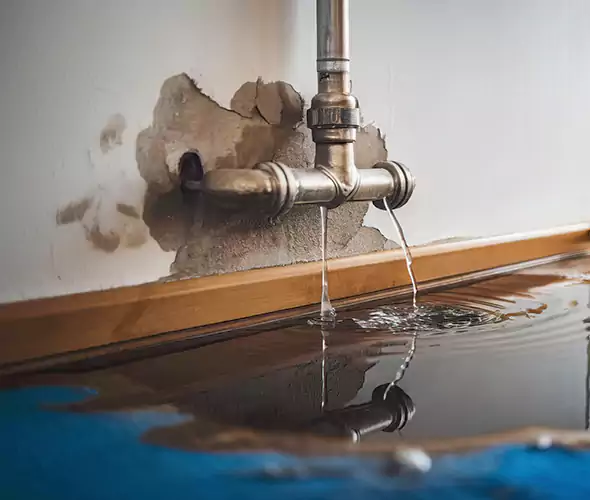 Professional Water Damage Restoration Experts in Hackensack, NJ — Fast, Reliable & Certified